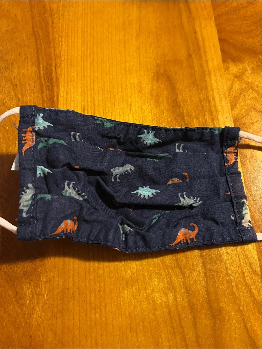 Kids Navy Dinosaur Face Mask Set - Reusable Washable